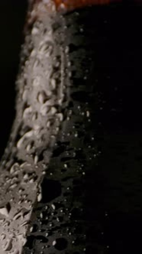 Vertical of Wet Bottle of Cool Beer