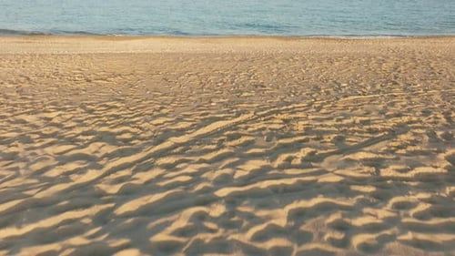 Tropical Sandy Beach Under Sunny Light