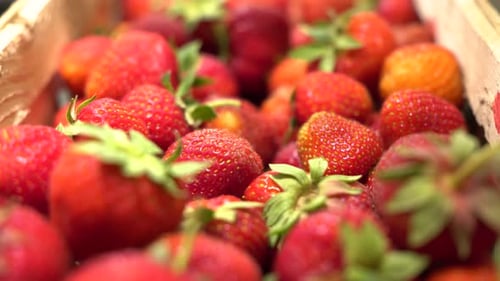 Frische Erdbeeren in einem Korb, Nahaufnahme