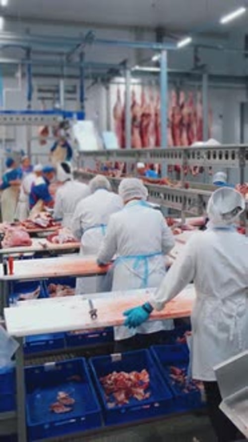 Factory for the Production of Meat Products a Workshop for Cutting Carcasses Meat Processing Shop at