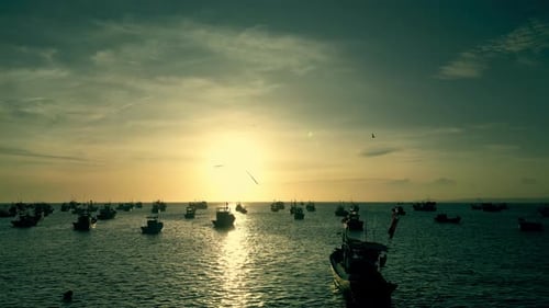 Drone Footage of Several Dozen Asian Fishing Boats at Sunset an Aerial View of Mui Ne's Huge Fishing