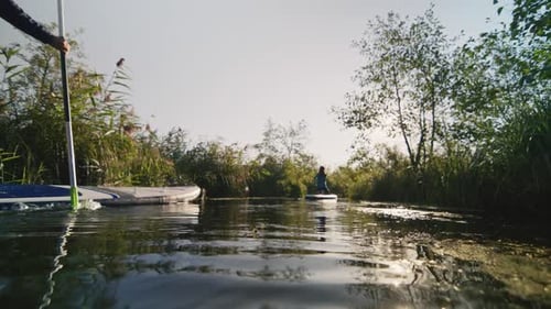 People Paddling on SUP Boards in Narrow River