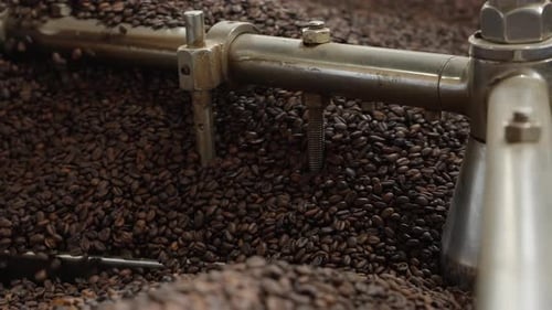 Raw Coffee Roasted in a Roaster