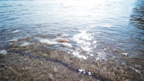 Wave and Sandy Beach