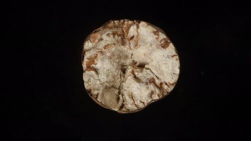Top view of a broken nutmeg. Close-up on a black background. Rotation.