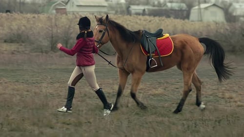 Woman Walking And Having Fun With Her Horse