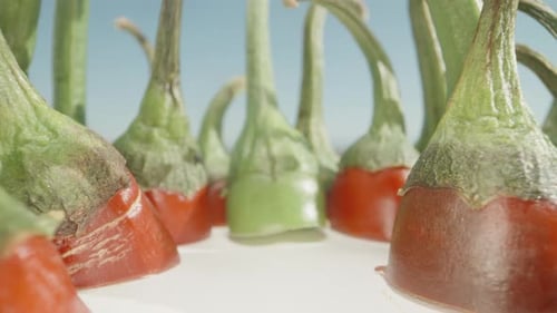 Sliced tops of red and green peppers, on the table. Dolly slider extreme close-up.