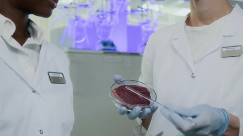 Laboratory Assistants Analyzing Cultivated Meat in Petri Dish