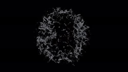 Fluid Water Splash Circle Reveal Animation