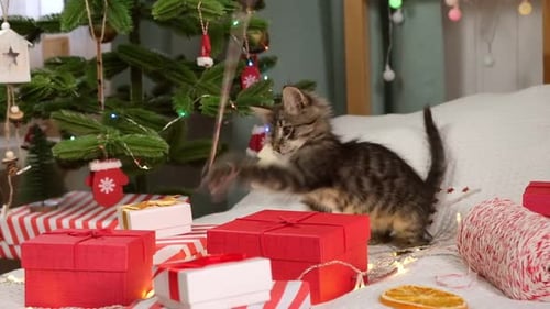 Playful Kitten with Christmas Tree Ornament and Gifts