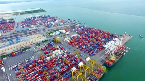 Import And Export Business