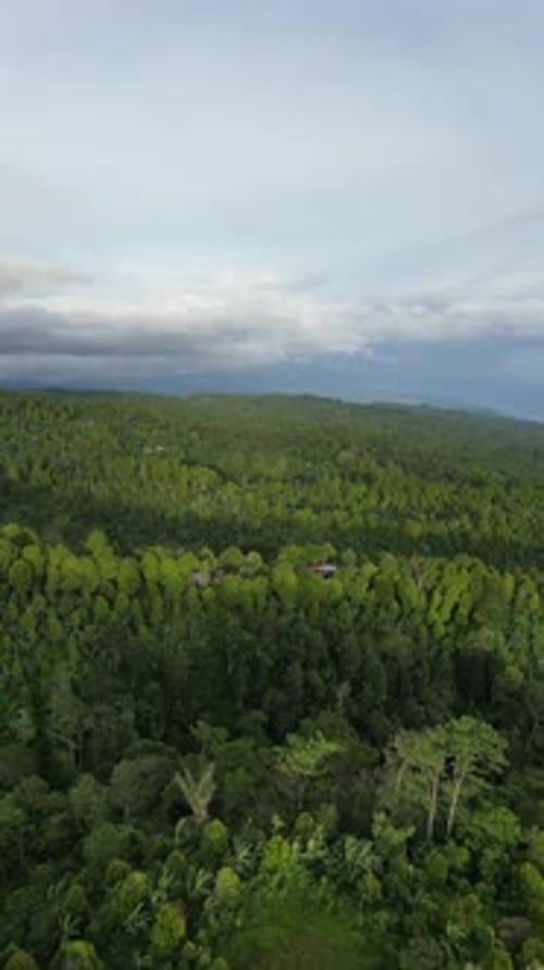 Aerial video over the landscapes in Northern Bali Indonesia