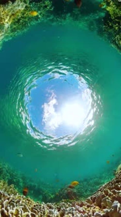 Sunlight Through Turquoise Water on Coral Reef