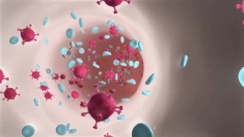 3D Animation of Virus Particles and Blood Cells Flowing Through a Vessel