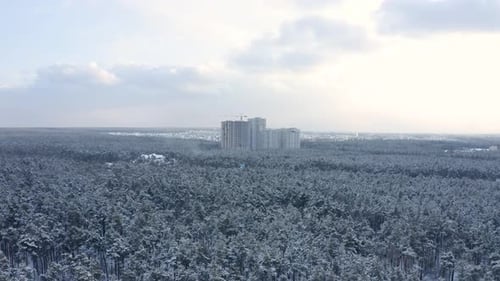 Aerial view of a frozen forest with snow covered trees at winter.