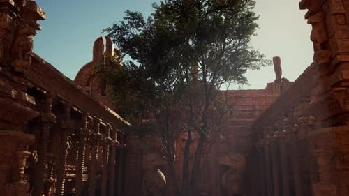 An Old Building with a Tree in the Middle of It
