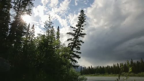 Sun Shining In Blue Sky With Clouds Over Trees And River Ms Lr Pan Tu