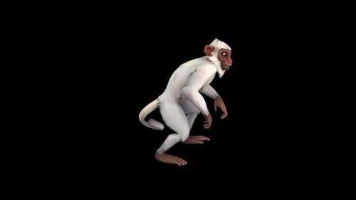 Monkey Stand Idle
