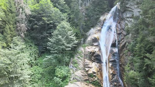 Wasserfallwald aus der Luft