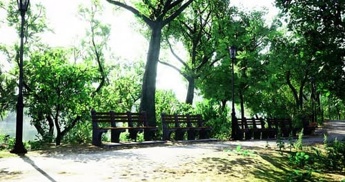 Serene Park Pathway Lined with Benches Under Bright Sunlight