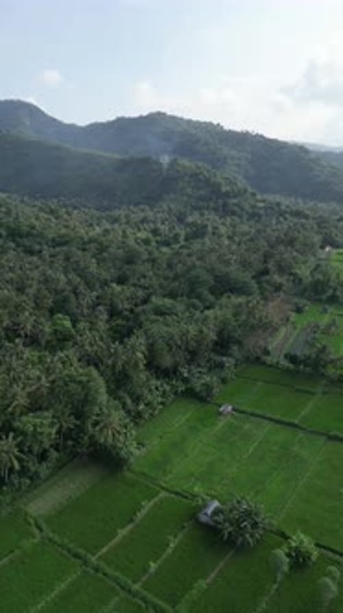 Die Berglandschaft vor dem Hintergrund von Palmen und Maisfeldern, Vulkan Agung, Indonesien