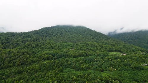 Aerial of Mountains Covered in Dense Green Forests Under the Cloudy Sky