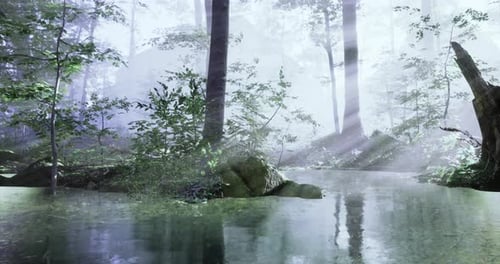 Misty Forest Landscape with Reflective Water and Soft Sunlight at Dawn