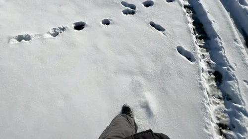 14 Feb 2024- Footsteps Walking on Snow in Spiti Valley, Hijmachal Pradesh, India
