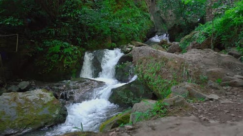 Wild river in mountain forest. River flow. Mountain forest river.