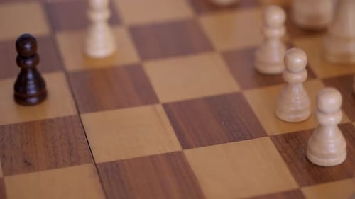 Yuriy Chess pieces. Moving white night. Chess board from hard strategy logic game.