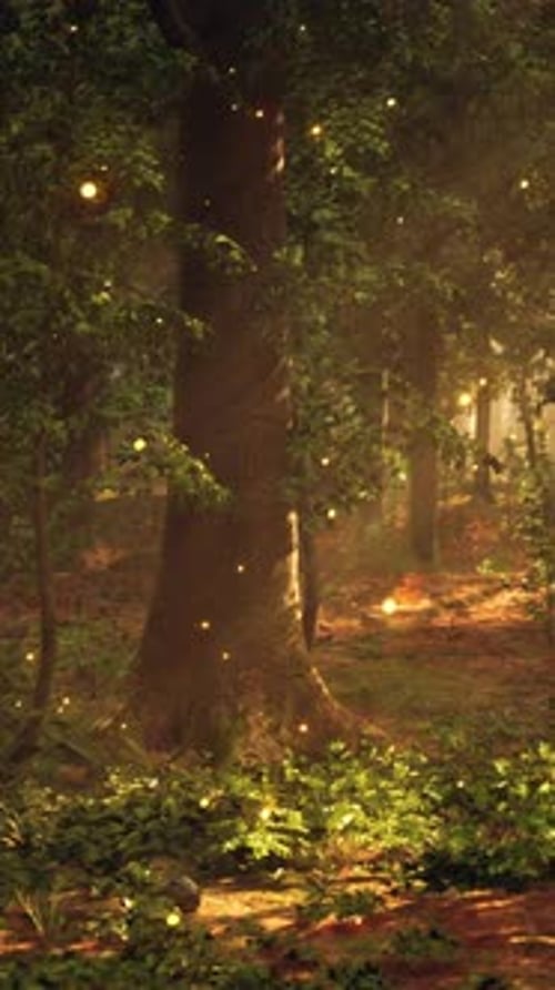 A Forest Filled with Lots of Trees Covered in Fireflies