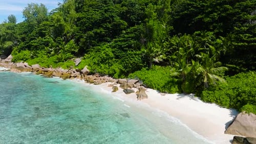 Tropical Beach with White Sand and Vibrant Greenery La Digue Seychelles