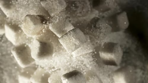 Sugar Rise Up and Rotate in Flight