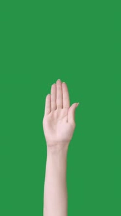 Hand Gesturing and Rotating on Green Screen