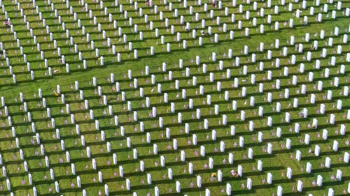 Large American Army National Cemetery with Rows of White Tombstones on Green Grass Memorial Day