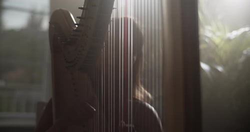 Woman Plays Harp in Brightly Lit Room