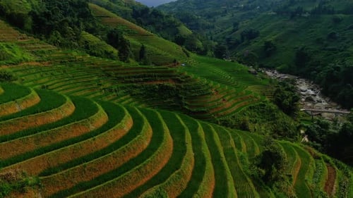 Drone flying over rice fields in the mountains Vietnam