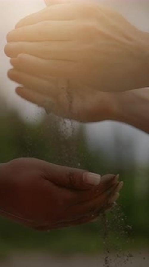 Hands Sharing Earth A Beautiful Symbol of Connection Growth and Unity in Nature