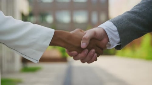 Acordo de aperto de mão: dois colegas fecham negócio