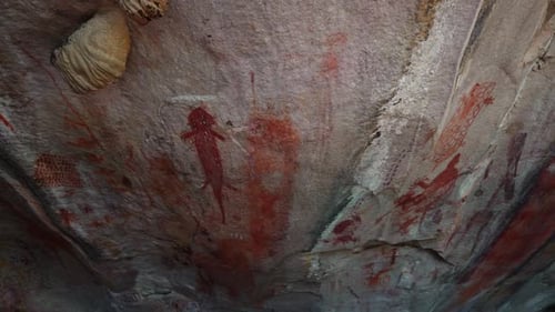 Prehistoric Primitive Cave Art Red Painting of Lizard on Wall in Brazil