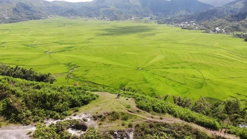 Luftbild der Reisterrassen mit Spinnennetzen. Die berühmten Reisterrassen auf der Insel Flores, Indonesien