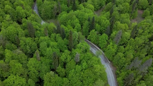 Beautiful Top View of Winding Road Through Forest in Countryside Irrl