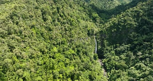 A Tropical Waterfall in the Jungles
