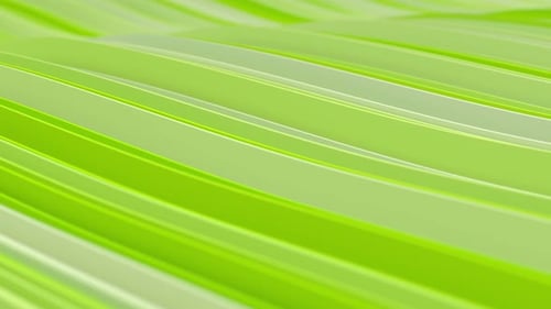 Fluid Abstract Green Waves Looping Background
