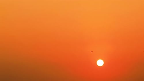 Silhouette Birds flying away against the orange sky in the morning orevening