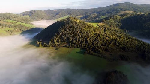 Aerial Drone Footage of Foggy Valley with Forested Hill Rising Above Mist at Sunrise in Tranquil