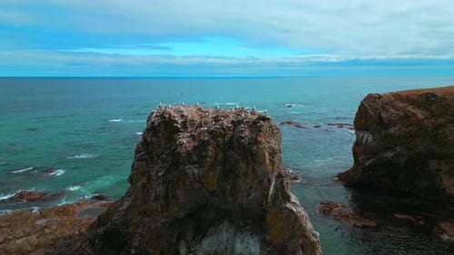 Seagulls sit on top of rocky cliff in sea