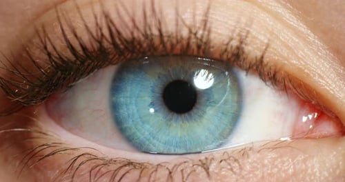 Vision, blue eye and macro of awake person looking with beautiful and natural beauty iris color