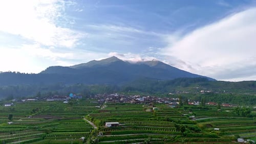 Aerial scenery of terraced agricultural field on the mountain slope