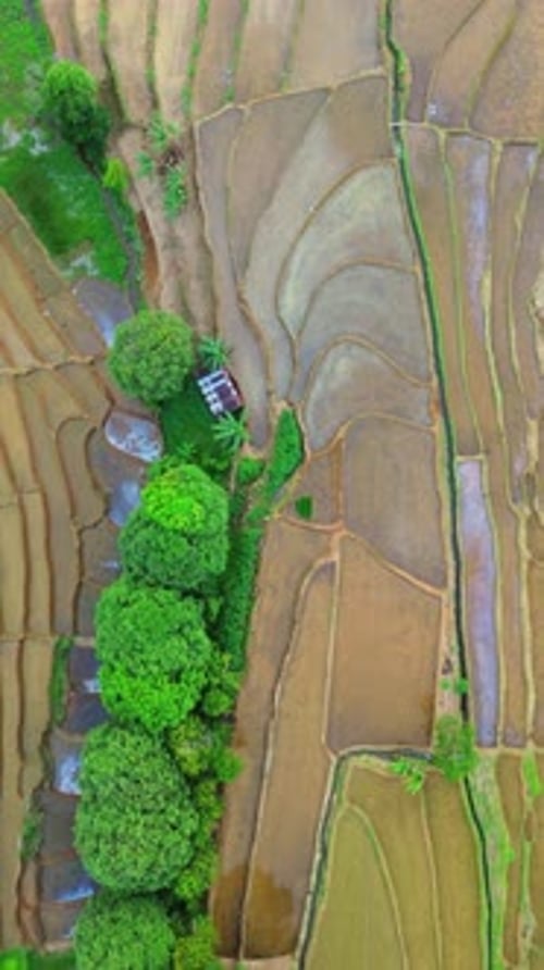 Wunderschöner Blick auf Indonesien, Panoramalandschaft, Reisfelder mit schöner Farbe und natürlichem Himmel l